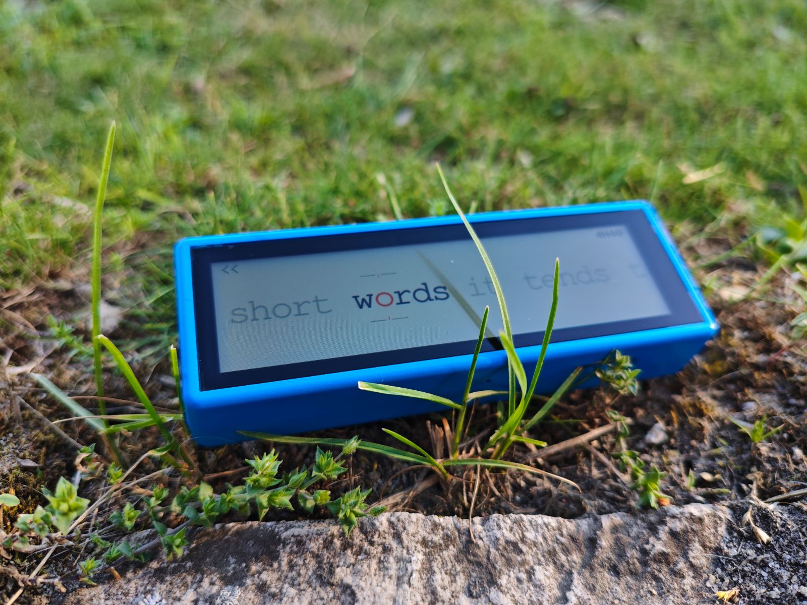 Flower with its e-ink screen in the grass